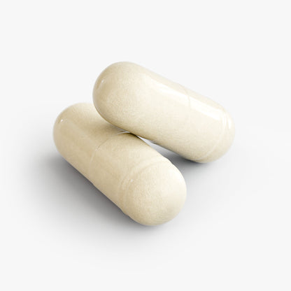 Probiotic 20 Billion – Multi-Strain Daily Capsules | Aeterna Nutrition